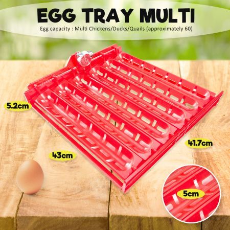 Eggs Digital Hatch Incubator Chicken Quail 60 Eggs Tray