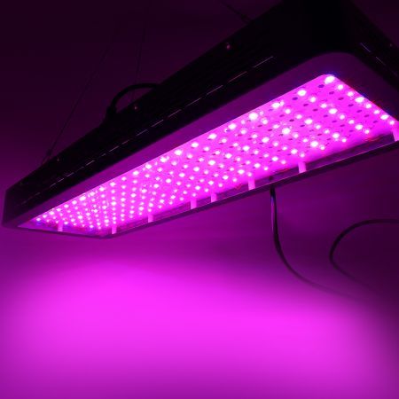 Greenfingers 2000W Grow Light LED Full Spectrum Indoor Plant All Stage Growth