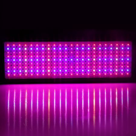 Greenfingers 2000W Grow Light LED Full Spectrum Indoor Plant All Stage Growth