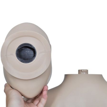 Mannequin Man Round Head