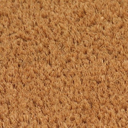 Doormats 2 pcs Coir 24 mm 40x60 cm Natural