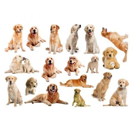 3D Wall Stickers Dogs PVC Self Adhesive Removable DIY Decoration 4 collections