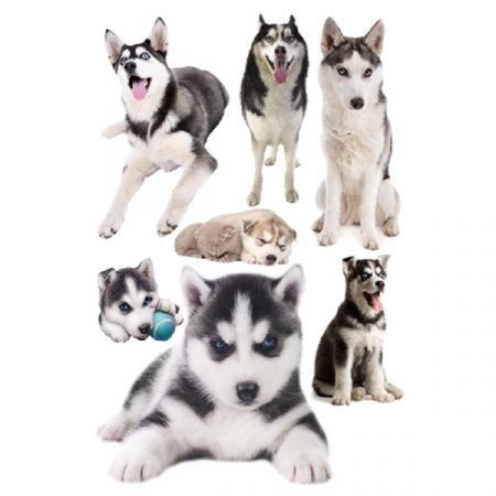 3D Wall Stickers Dogs PVC Self Adhesive Removable DIY Decoration 4 collections