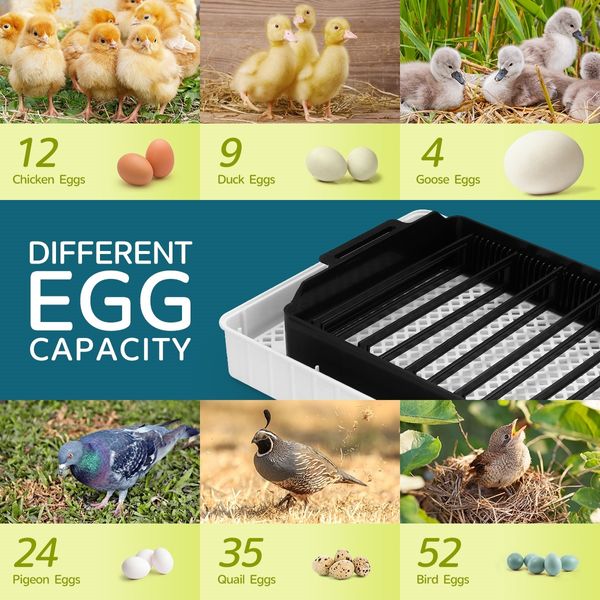 12 Egg Incubator Auto Egg Turning Digital Chicken Goose Duck Quail Eggs Hatcher LED Lighting Machine