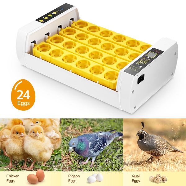 24 Egg Incubator Automatic Digital Hatching Chicken Pigeon Quail Eggs Hatcher Machine with LED Candling Lamps