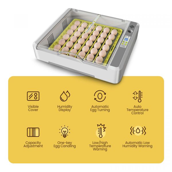 Digital Fully Automatic Egg Incubator 36-120 Eggs Poultry Hatcher Chicken Duck Bird Auto Turning