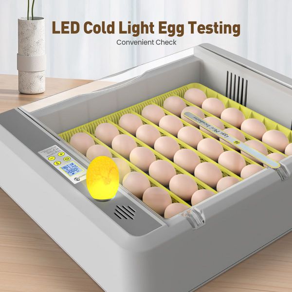 Digital Fully Automatic Egg Incubator 36-120 Eggs Poultry Hatcher Chicken Duck Bird Auto Turning