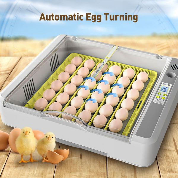 Digital Fully Automatic Egg Incubator 36-120 Eggs Poultry Hatcher Chicken Duck Bird Auto Turning