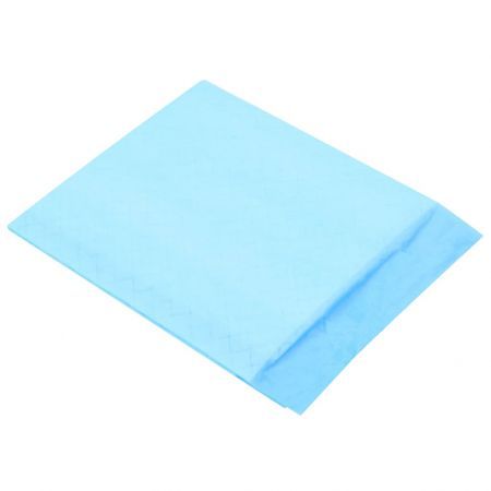 Pet Training Pads 100 pcs 45x33 cm Non Woven Fabric