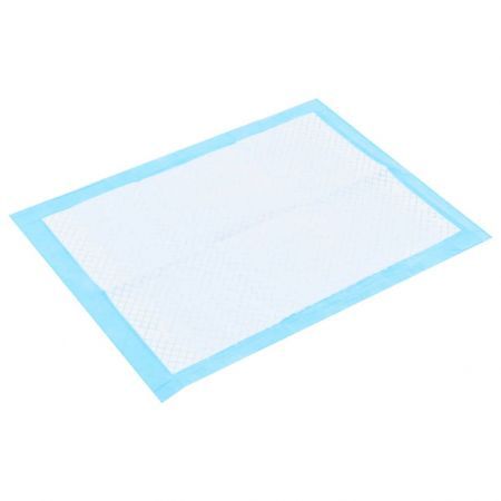 Pet Training Pads 200 pcs 45x33 cm Non Woven Fabric