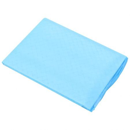 Pet Training Pads 100 pcs 60x45 cm Non Woven Fabric