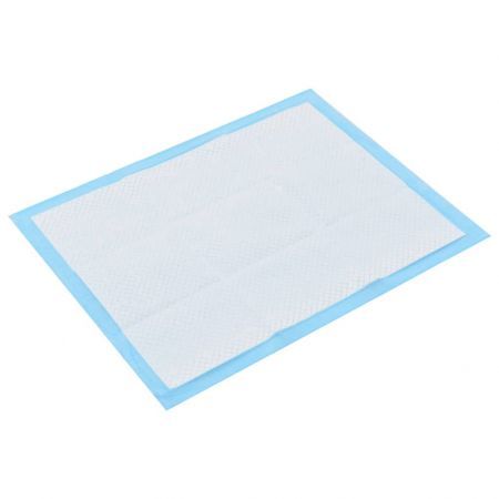 Pet Training Pads 100 pcs 60x45 cm Non Woven Fabric