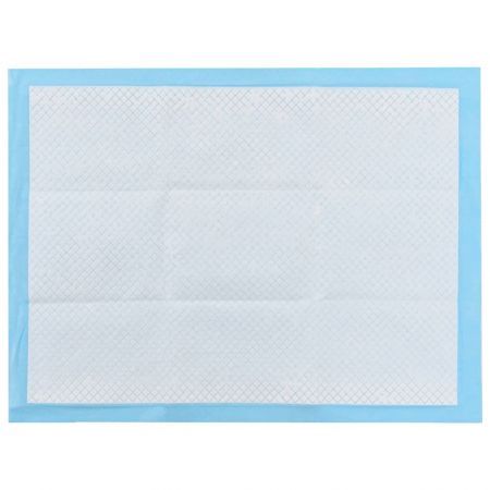 Pet Training Pads 100 pcs 60x45 cm Non Woven Fabric