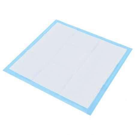 Pet Training Pads 100 pcs 60x60 cm Non Woven Fabric