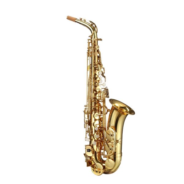 Melodic Saxophone Sax Eb Be Alto E Flat Brass w/ Mouthpiece for Student Beginner