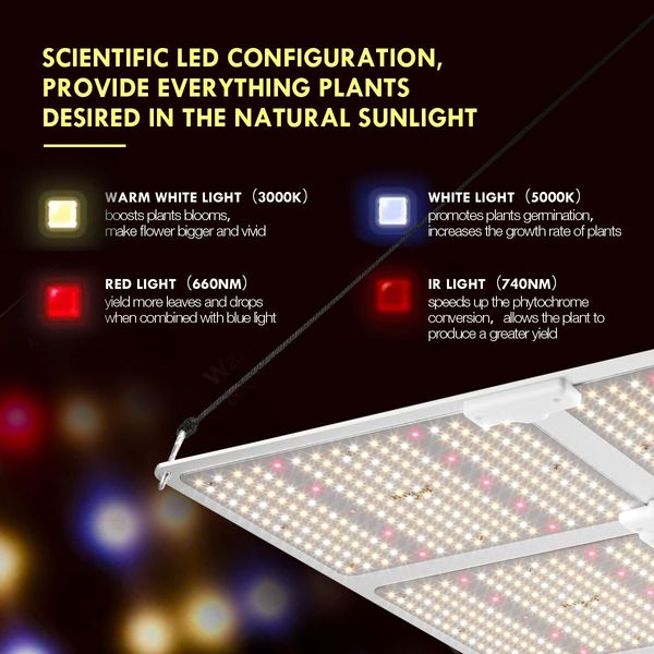 6000W Full Spectrum LED Plant Grow Light Samsung LM301B Growing Lamp