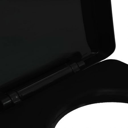 Soft-close Toilet Seat with Quick-release Design Black