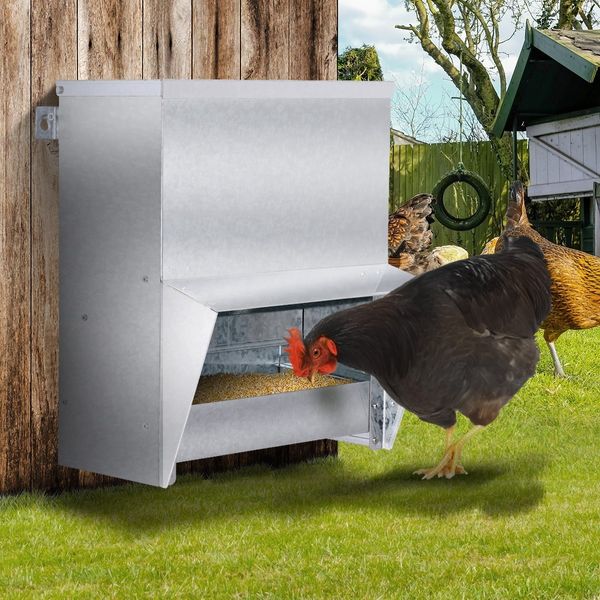 Chicken Feeder Farm Poultry Chook Feeding Waterproof Steel Wall Mounted Coop 15KG