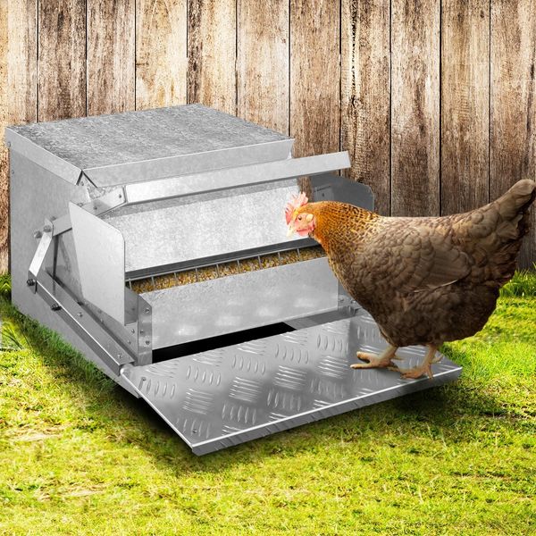 Auto Chicken Feeder Poultry Feeding Trough Spill-Proof Galvanized Steel Tread Plate 12KG