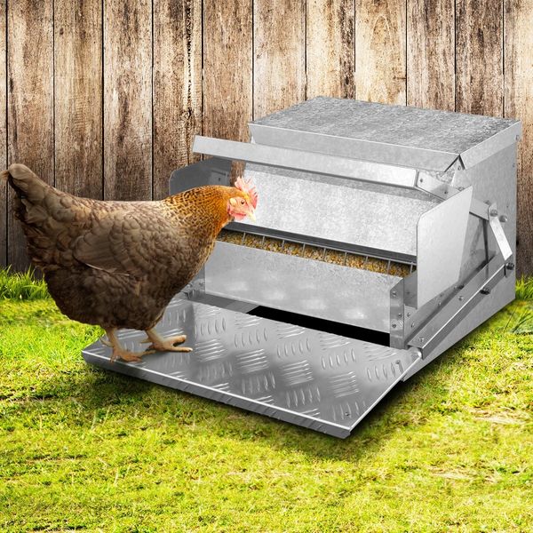 Auto Chicken Feeder Galvanized Steel Poultry Automatic Feeding Trough Spill-Proof Tread Plate 10KG