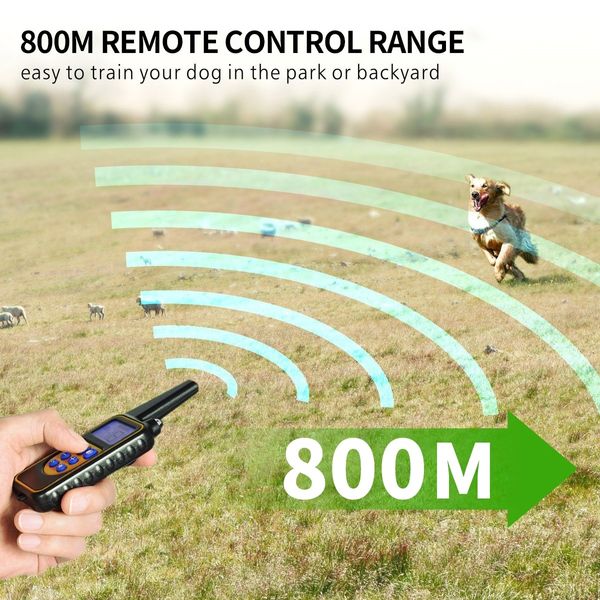 Dog Training Collar Rechargeable Dog Vibration Beep Collar with 800M Remote Control