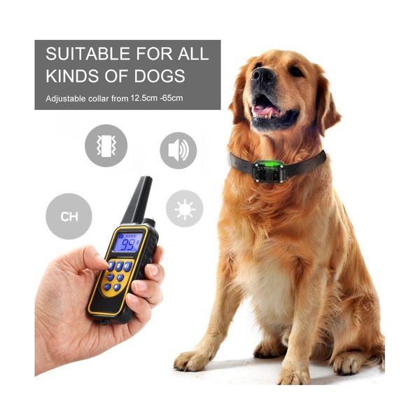 Dog Training Collar Rechargeable Dog Vibration Beep Collar with 800M Remote Control