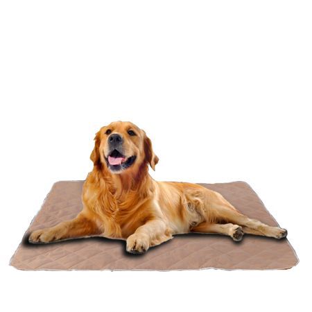 2 Pcs 120x180 cm Reusable Waterproof KING