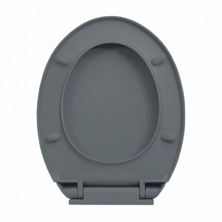 Soft-Close Toilet Seat Quick Release Grey Oval