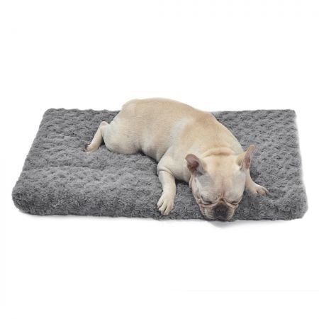 Pet Bed Dog Beds Bedding Soft Warm Medium