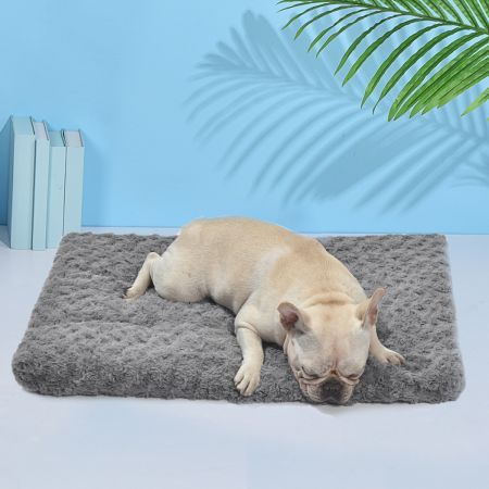 Pet Bed Dog Beds Bedding Soft Warm Medium