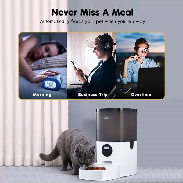 6L Automatic Pet Feeder Dog Cat Feeder Food Dispenser with LCD Screen