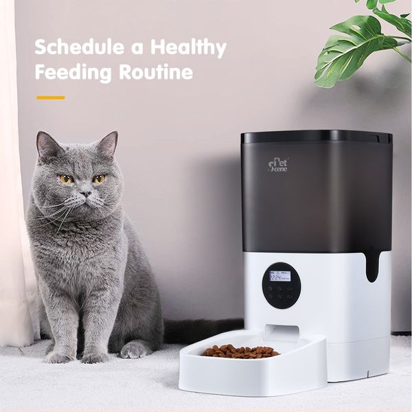 6L Automatic Pet Feeder Dog Cat Feeder Food Dispenser with LCD Screen