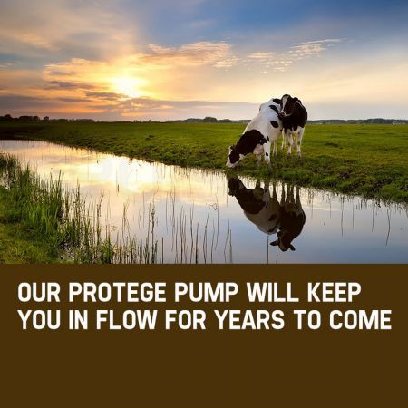 Protege 3HP Submersible Bore Water Pump Deep Well Irrigation Stainless Steel 240V