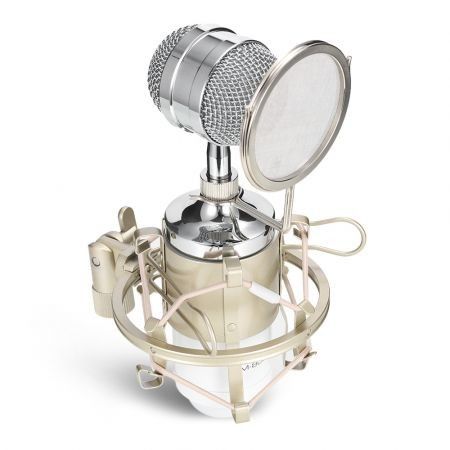 LEIHAO BM - 8000 Professional Sound Studio Recording Condenser Microphone