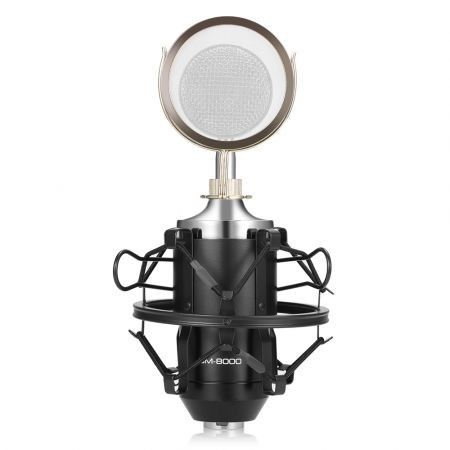 LEIHAO BM - 8000 Professional Sound Studio Recording Condenser Microphone