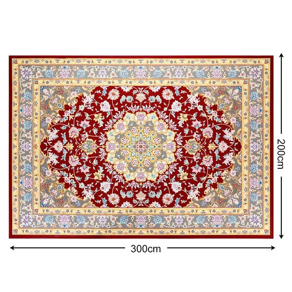 Soft Rugs Carpet Traditional Persian Floor Rug Anti-slip Bedroom Mat 200 x 300CM