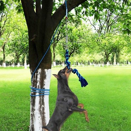 Spring Pole Dog Rope Toy Pet Dog Heavy Duty Pull Tether Tug of War, Hanging Bungee Toy for Outdoor Exercise, for Medium Large Dog Muscle Builder