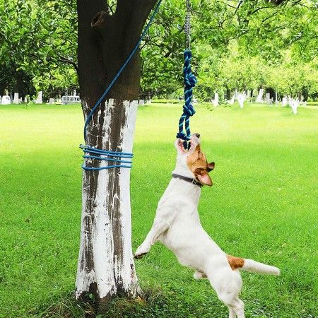 Spring Pole Dog Rope Toy Pet Dog Heavy Duty Pull Tether Tug of War, Hanging Bungee Toy for Outdoor Exercise, for Medium Large Dog Muscle Builder