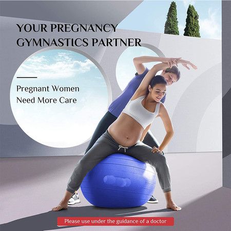 Exercise Ball (65cm) Extra Thick Yoga Ball Chair