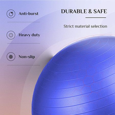 Exercise Ball (65cm) Extra Thick Yoga Ball Chair
