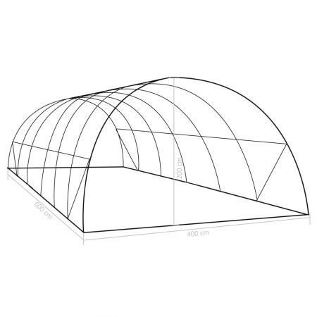 vidaXL Greenhouse 24 cubic metre 6x4x2 m