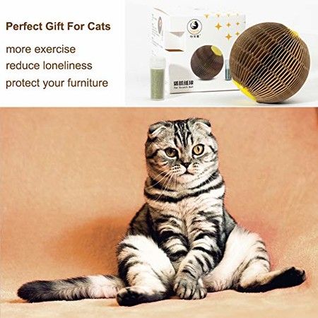 Cat Scratch Toy, Upgraded Cat Toys for Indoor Cats, Cardboard Chew Toy for Kittens, Refillable Catnip Toy