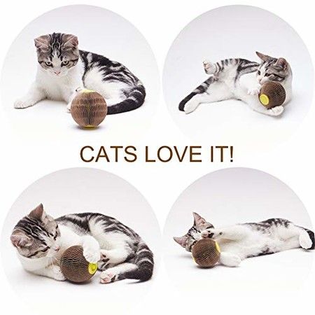 Cat Scratch Toy, Upgraded Cat Toys for Indoor Cats, Cardboard Chew Toy for Kittens, Refillable Catnip Toy