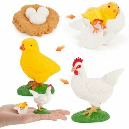 5 sets Realistic Life Growth Cycle of Salmon,chicken,ant, fog,turtle Educational Toys