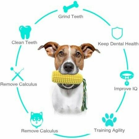 Dog Squeaky Toys Durable Dog Toys for Small Medium Larger Breed Puppy Toothbrush Clean Teeth Dog Chew Toys for Aggressive Chewers Rubber Bone