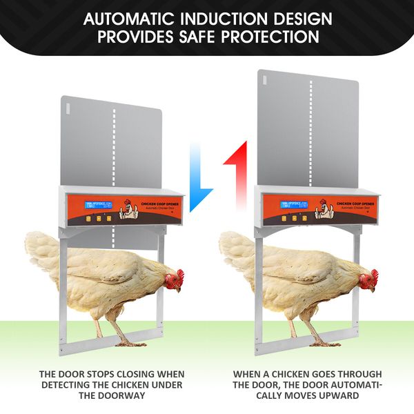 Automatic Chicken Door Auto Opener Coop House Kit Cage Closer Timer Light Sensor Upgraded