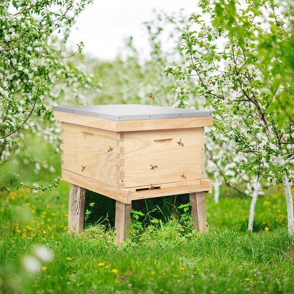 Honey Beehive Kit Bee Hive Box Metal Roof Wooden 10 Frame for Backyard Beekeeping