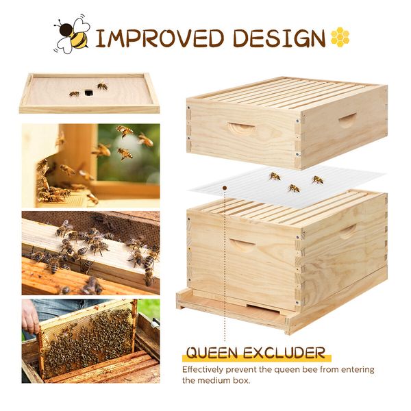 2 Layers Honey Bee Hive Box Beehive Kit Beekeeping Starter Set Backyard Wooden 20 Frame