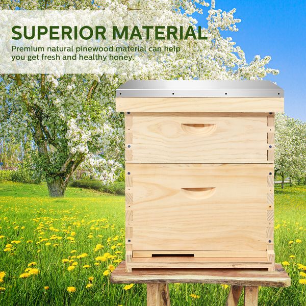 2 Layers Honey Bee Hive Box Beehive Kit Beekeeping Starter Set Backyard Wooden 20 Frame