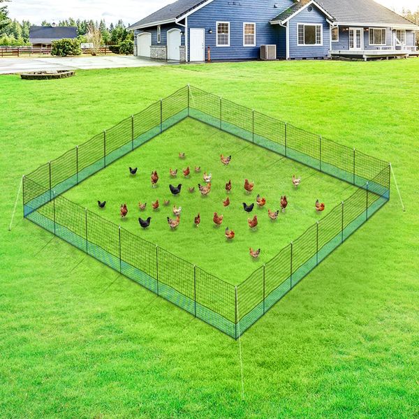 50mx1.25m portable chicken fencing backyard net set in various shape for rooster hen duck geese